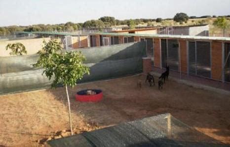 Residencia Canina Voran En San Sebastian De Los Reyes