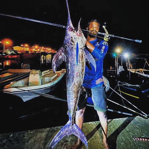 GOOFISH® MONSTER DEEP-7ft(213cm) Length PE4-7 Jig 200-700g Japan FUJI ...