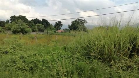 Lotes Y Terrenos San Pedro Sula Venta Terreno En Venta Colonia