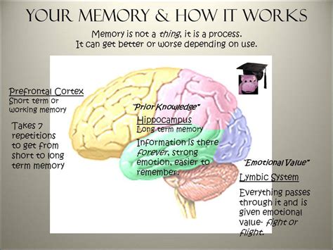 MEMORY and STUDYING | Bishops Support Unit