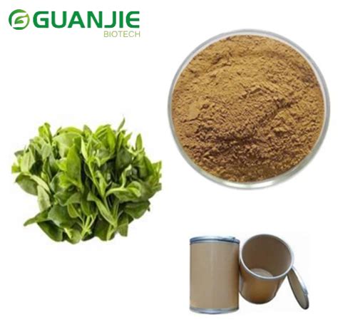 China Andrographis Extract Powder Manufacturers Suppliers Factory