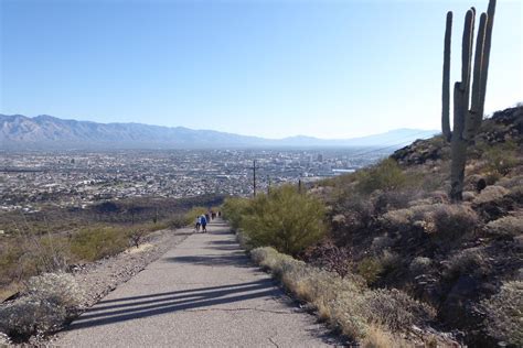 Best Hiking Trails - Tucson Mountains - Explore the Tucson Mountains