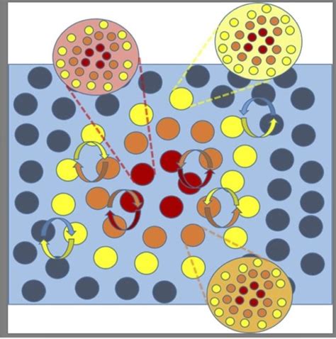 Illustration Of The Nested Organisation Of Markov Blankets Of Markov Download Scientific