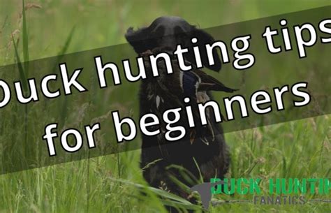 Duck Hunting Tips For Beginners | Duck Hunting Fanatics