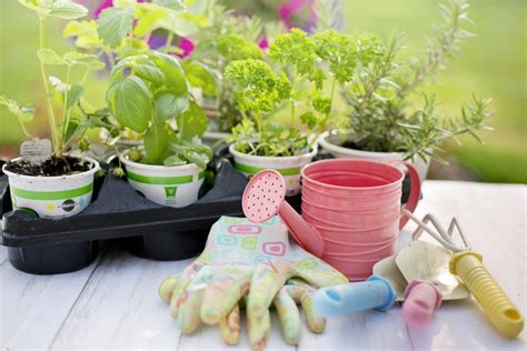 7 Herramientas De Jardinería Imprescindibles Que Todo Jardinero