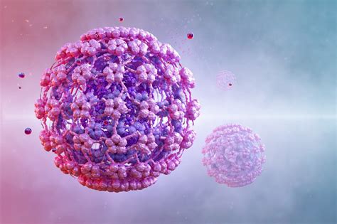 Is Hpv Infection A Hidden Risk Factor For Prostate Cancer