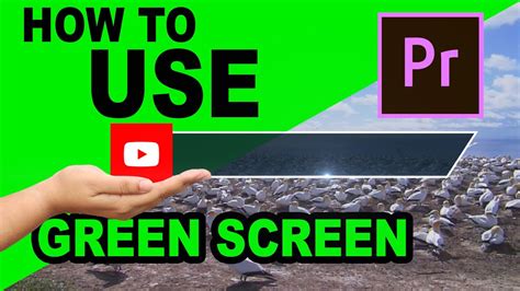 How To Use Green Screen Videos In Adobe Premiere Pro Basic Tutorial