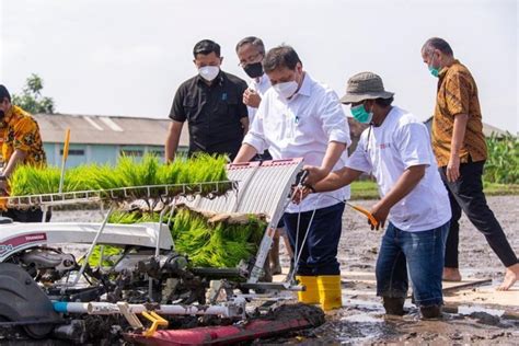 Menko Airlangga Dorong Petani Milenial Dengan Smart Farming Editorid