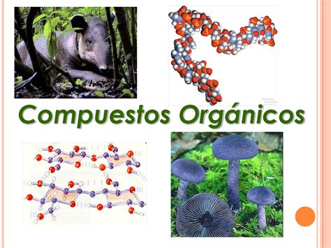 Cuadros Comparativos Entre Compuestos Org Nicos E Inorg Nicos Cuadro