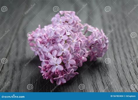 Purple Lilac Flowers On Old Oak Table Stock Photo Image Of Macro