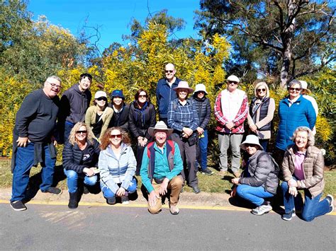 Queensland 2024 Wattle Day