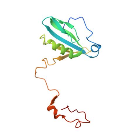 Rcsb Pdb K Cryo Em Structure Of The Tetrameric Photosystem I From