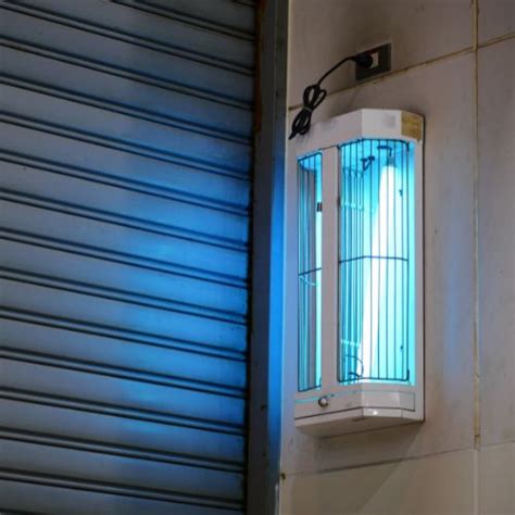 fly removal falkirk pest control service falkirk based