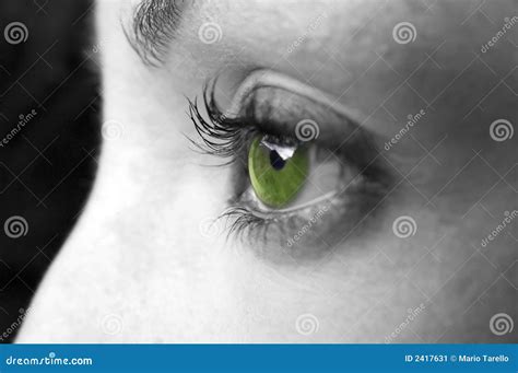 Green eye closeup stock image. Image of natural, clean - 2417631