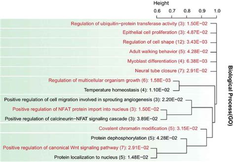 Full Article Exploring The Genomes Of East African Indicine Cattle