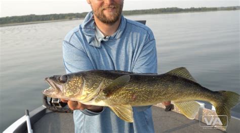 How To Catch Walleye With The Jigging Rap The Beginners Guide