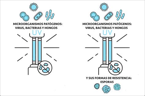 ¿conoces Las Diferencias Entre DesinfecciÓn Y EsterilizaciÓn Germiled