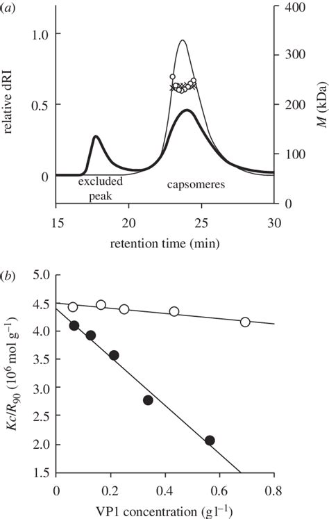 Measurement of capsomere second virial coefficient during capsid... | Download Scientific Diagram