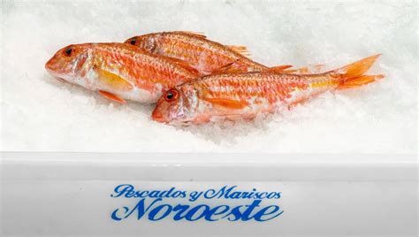 Salmonete De Roca Pescados Noroeste