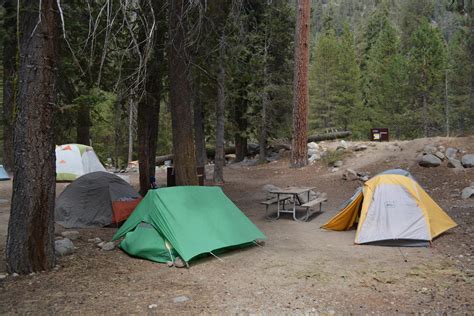 CAMPING IN SEQUOIA NATIONAL PARK | elle-loha