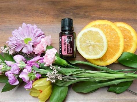 Doterra Смесь эфирных масел Эфирное масло 15 мл 886299722