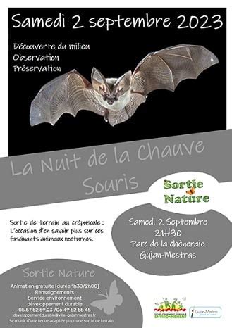 Nuit De La Chauve Souris Gujan Mestras Le Bassin Des Petits