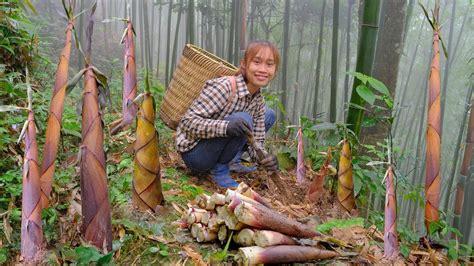 Harvesting Bitter Bamboo Shoots And Selling Them At The Market How To