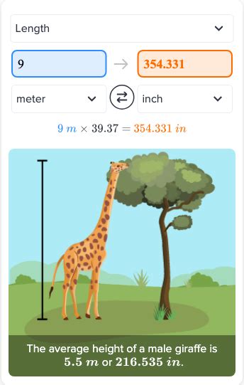 Flexi answers - How many inches is 9 meters? | CK-12 Foundation