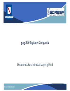 Compilabile Online Regione Campania Il Commissario Ad Acta Per L