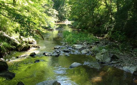 Escape To Natures Embrace A Journey To Marylands Patuxent River