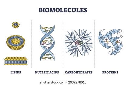 4,276 Biomolecules Royalty-Free Images, Stock Photos & Pictures | Shutterstock