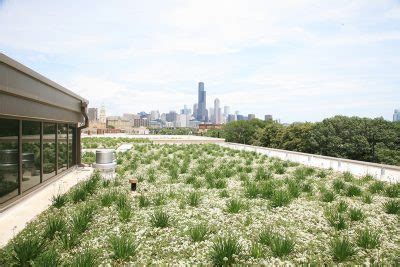 Products Liveroof Green Roof Systems