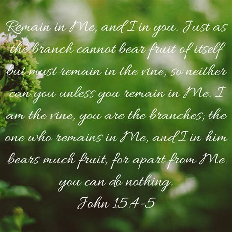 John 15 4 5 Remain In Me And I In You Just As The Branch Cannot Bear