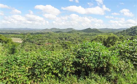 Cuba Rainforest Tropical Rainforest Island Stock Photos Pictures