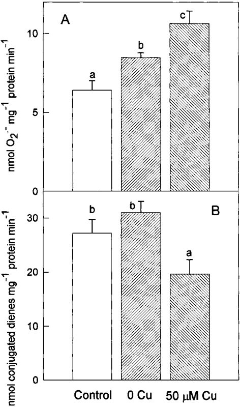 NADPH Dependent Oxidase A And Lipoxygenase B Activities Of Plasma