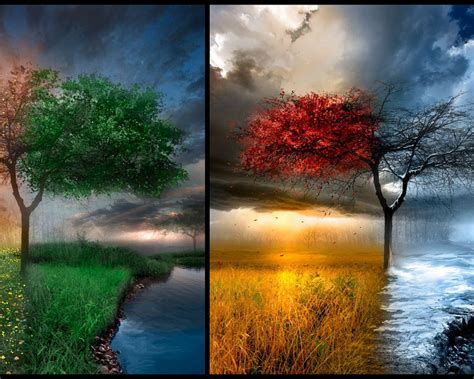 Spring Summer Autumn Winter Wallpapers Wallpaper Cave