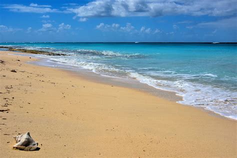 Queen Conch Shell On Beach In Grand Turk Turks And Caicos Islands Encircle Photos