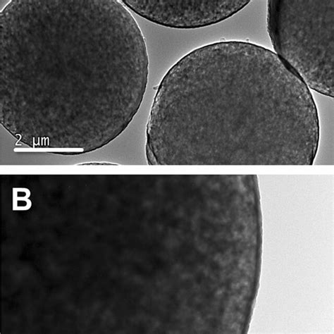 Tem Photographs Of Silica Microspheres Imprinted With Neu5gc Download