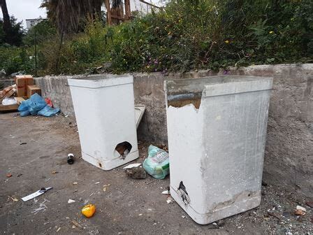 Catania Acque Contaminate Da Eternit Nei Tombini Di Picanello La Sicilia