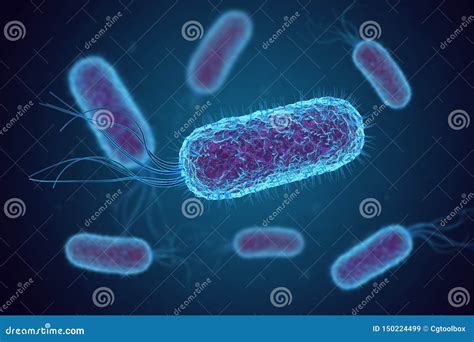 Escherichia Coli E Coli Stock Illustration Illustration Of