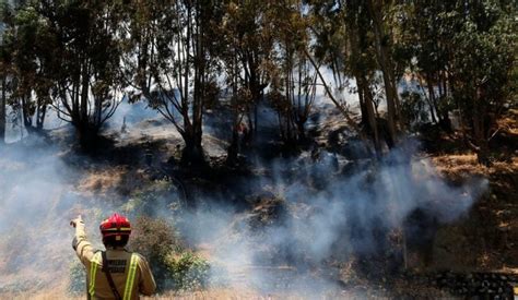 Incendios En Chile Dejan Dos Muertos Y 88 Casas Destruidas Periódico Am