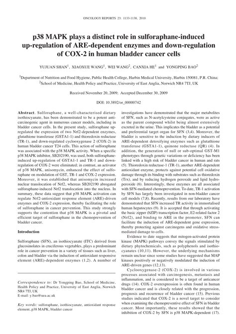 Pdf P Mapk Plays A Distinct Role In Sulforaphane Induced Up