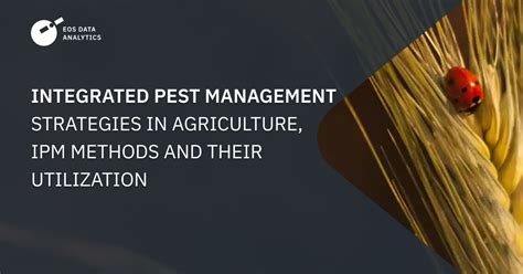 Integrated Pest Management IPM Methods And Their Uses