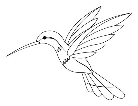 Hummingbird Coloring Pages