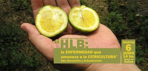 Jornada De Capacitación Segundo Encuentro Y Actualización Hlb La