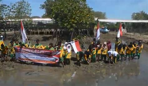 Rayakan Hut Ke Ri Pelajar Tanam Pohon Mangrove Cegah Polusi Udara