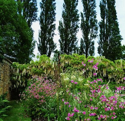 Barrington Court Gardens, near Ilminster - Great British Gardens