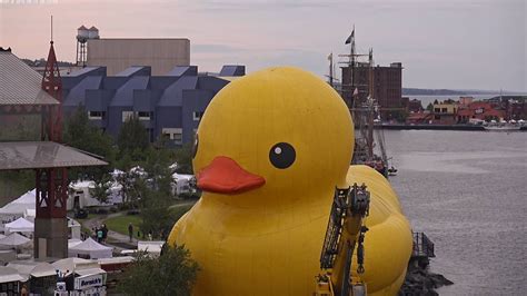 Duluth Harbor Cam: Rubber Duck at Bayfront