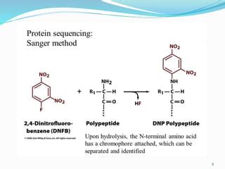 Protein Sequencing Strategies | PPT