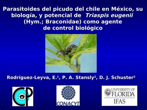 Parasitoides del picudo del chile en México su biología y potencial